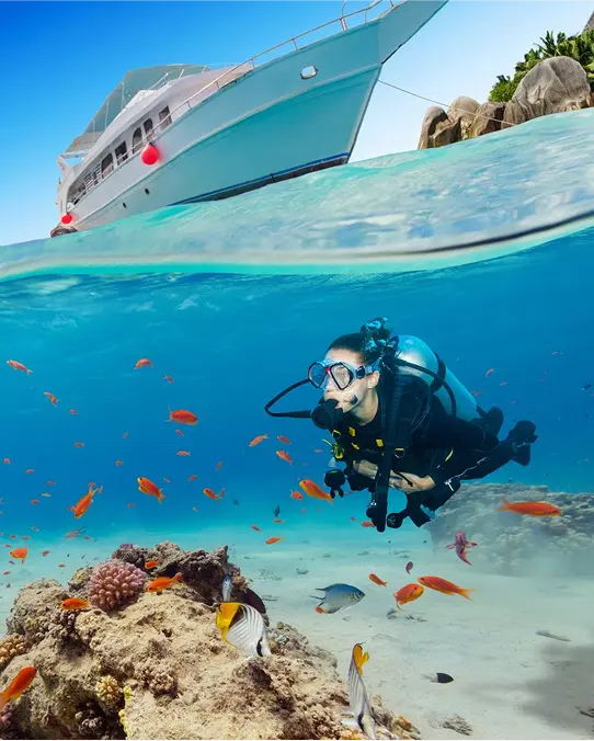 Liveaboard